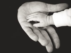 Sałatki Wielkanocne z Jajkiem – Przepisy na Smaczne i Kolorowe Sałatki